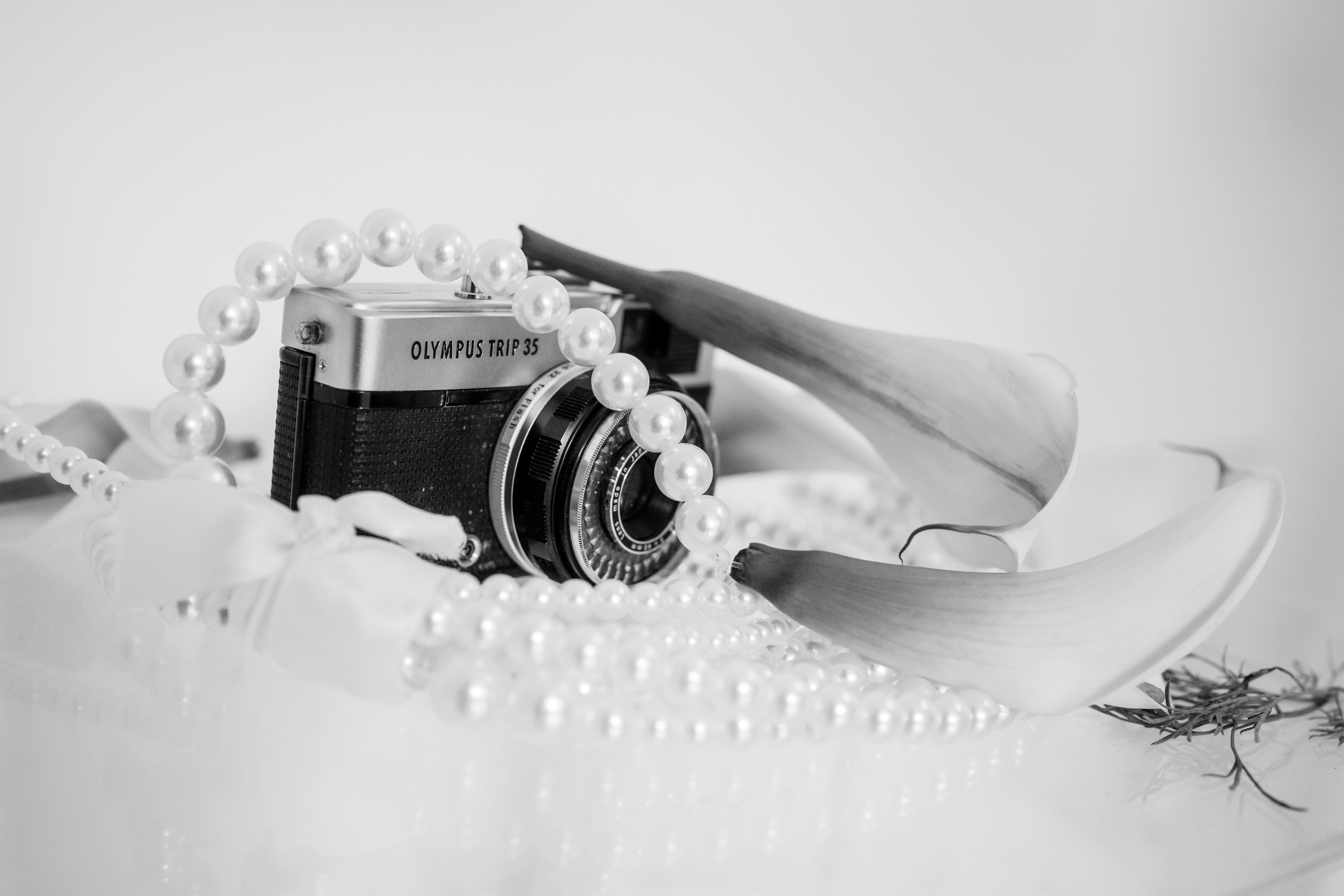 Portfolio Media 82